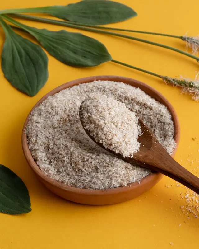 Heilpflanze bei Hämorrhoiden - Plantago ovalis